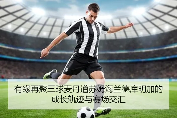 有缘再聚三球麦丹道苏姆海兰德库明加的成长轨迹与赛场交汇